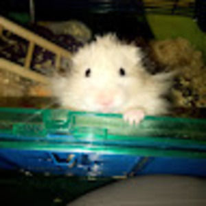 Meet your Posher, Jazmin